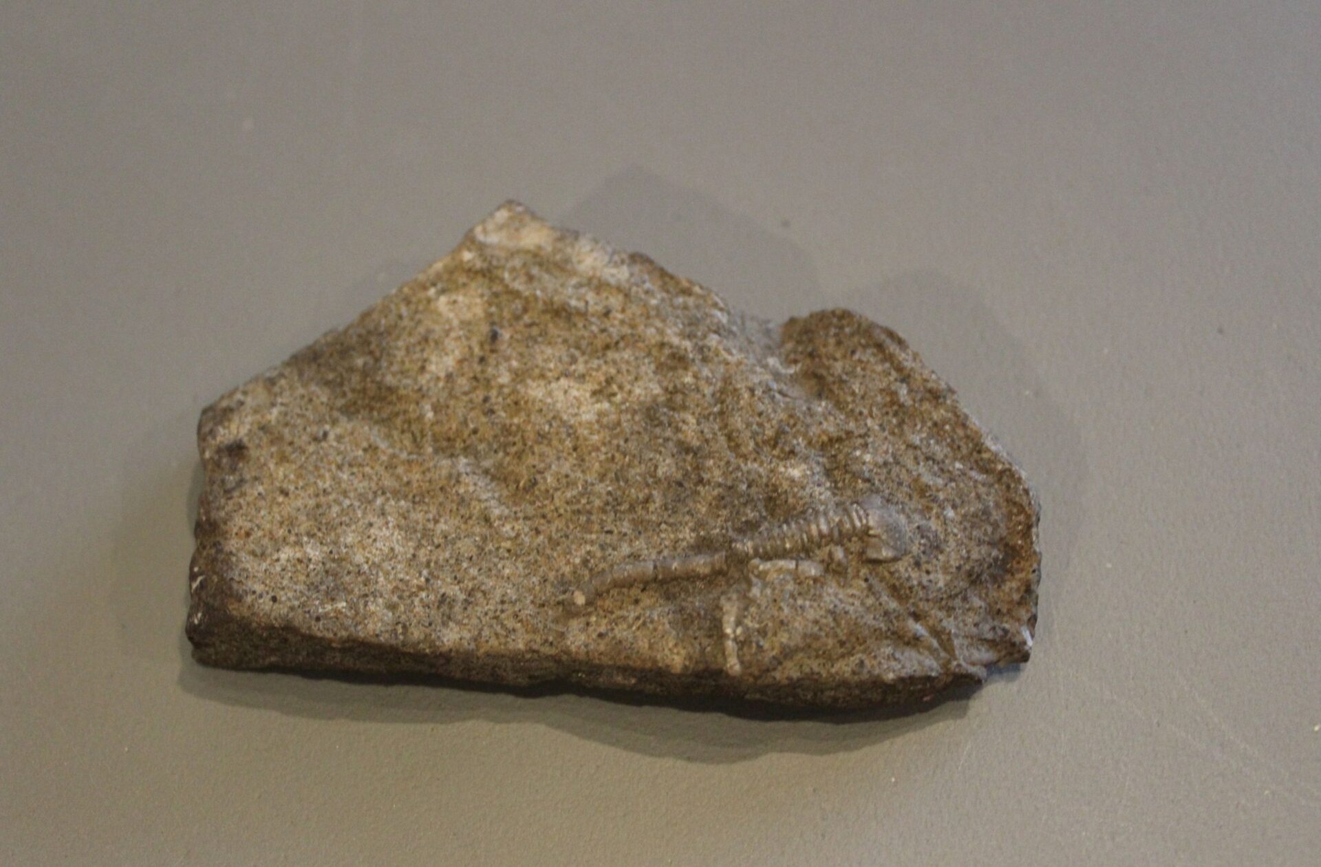 Untitled design (36)