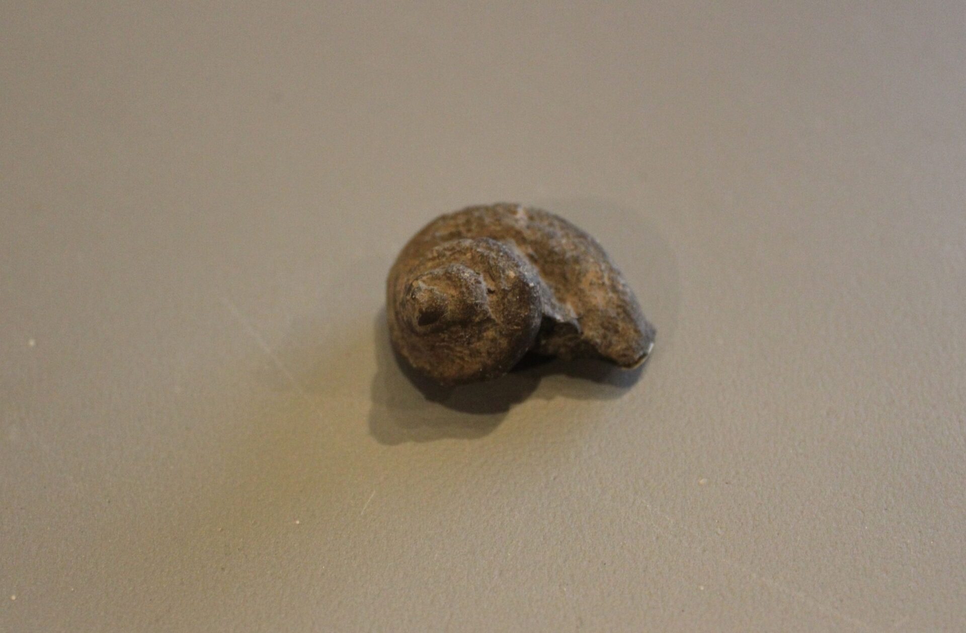 Untitled design (37)