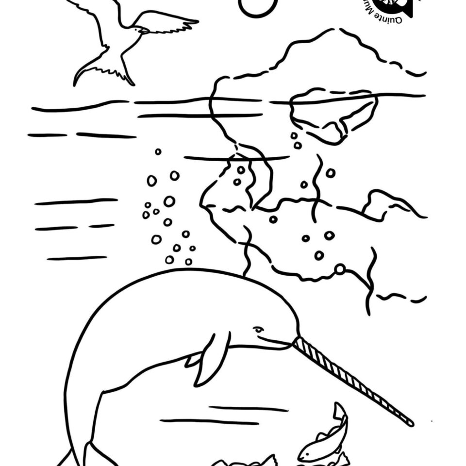 Whale Colouring Pages
