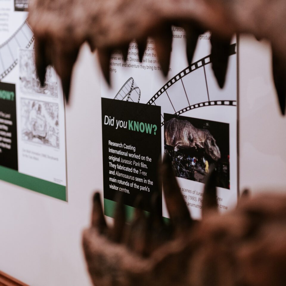 Lights, Camera, Action: Tyrannosaurs in Film