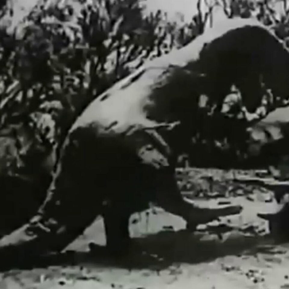 Ghost of Slumber Mountain (1918)
