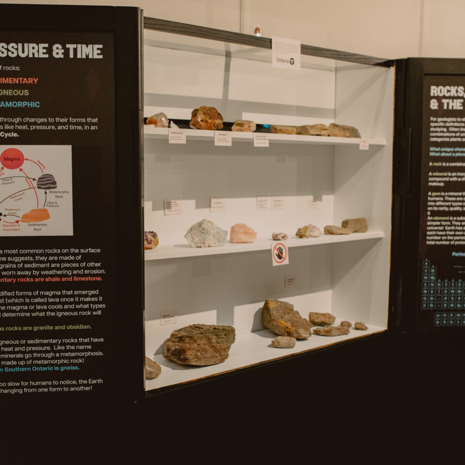 Quinte Museum of Natural History Opens Rocks Revealed Exhibit