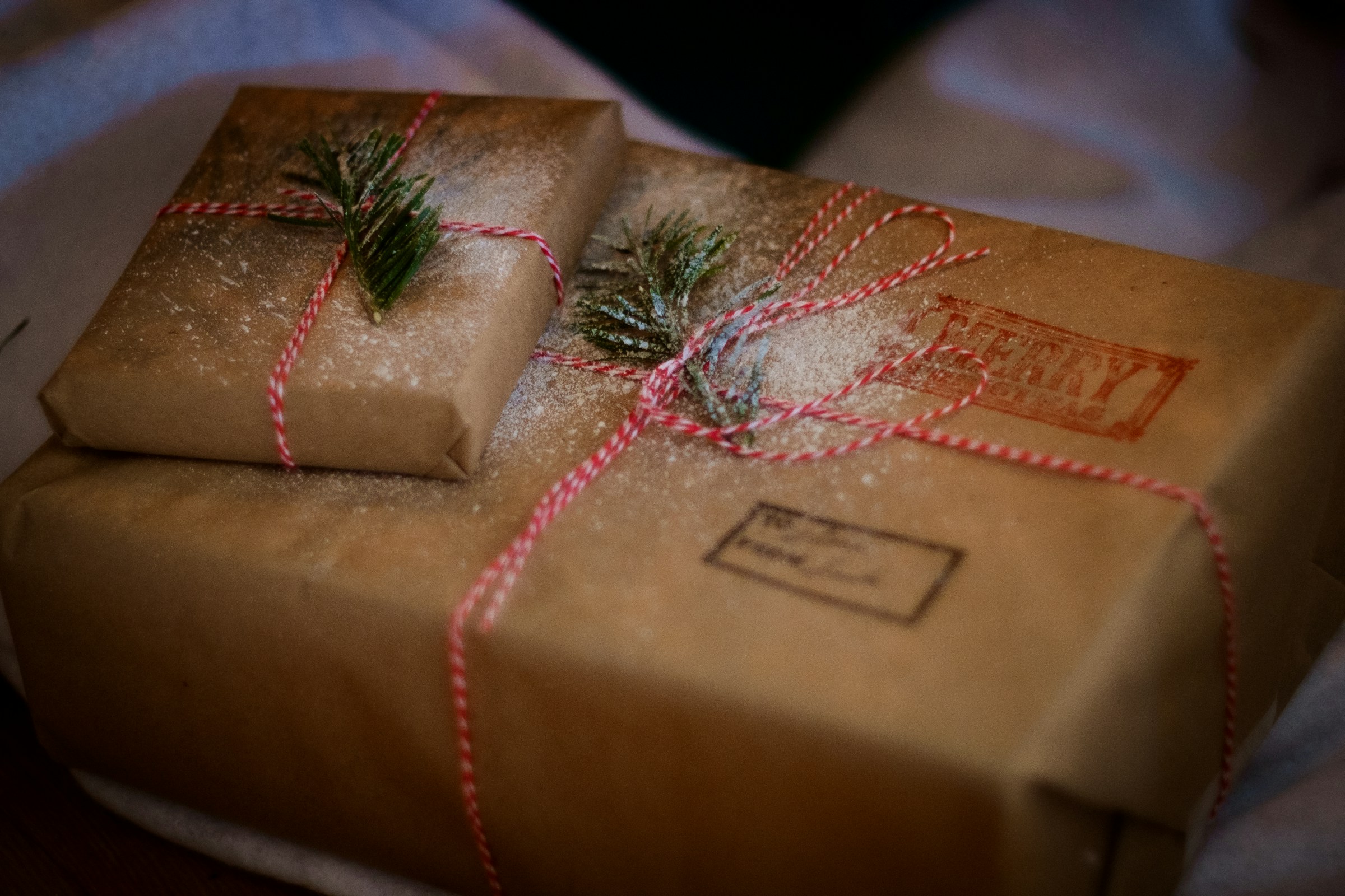 Roots of Resilience Lifelong Learning Series – Green Gifting: Sustainable Solutions for the Holidays Workshop