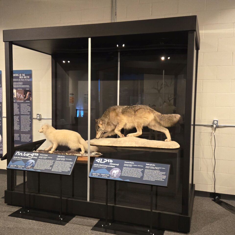 Expedition Alert: Stories of the High Arctic 