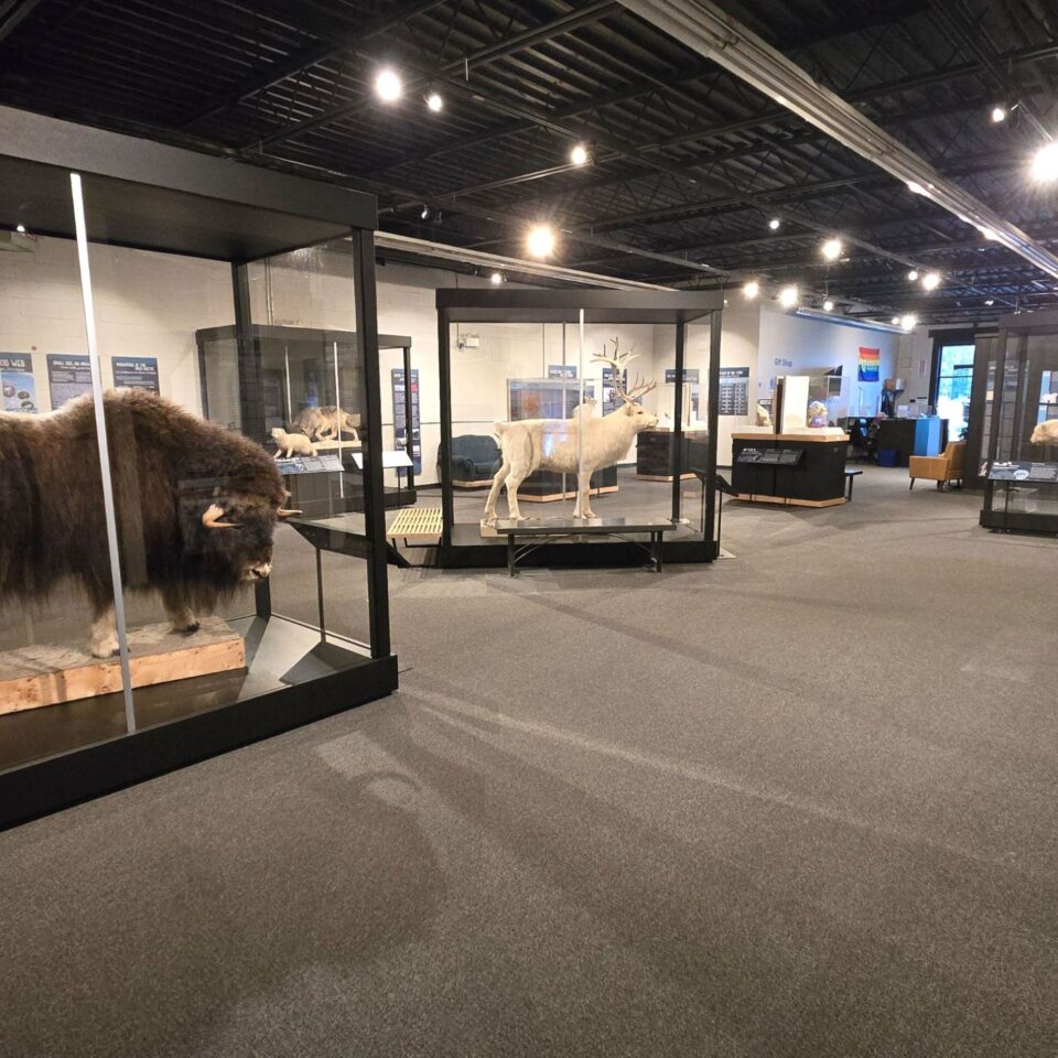 The Quinte Museum of Natural History: Expedition to Alert