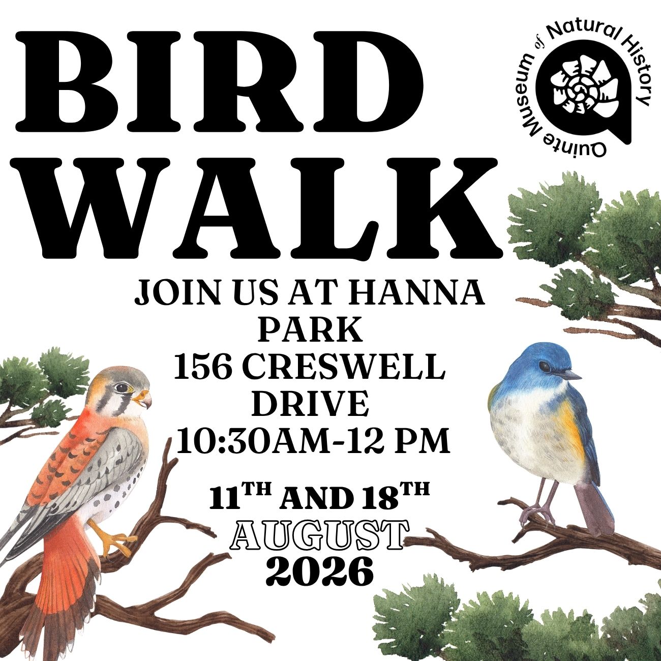 Bird Walk