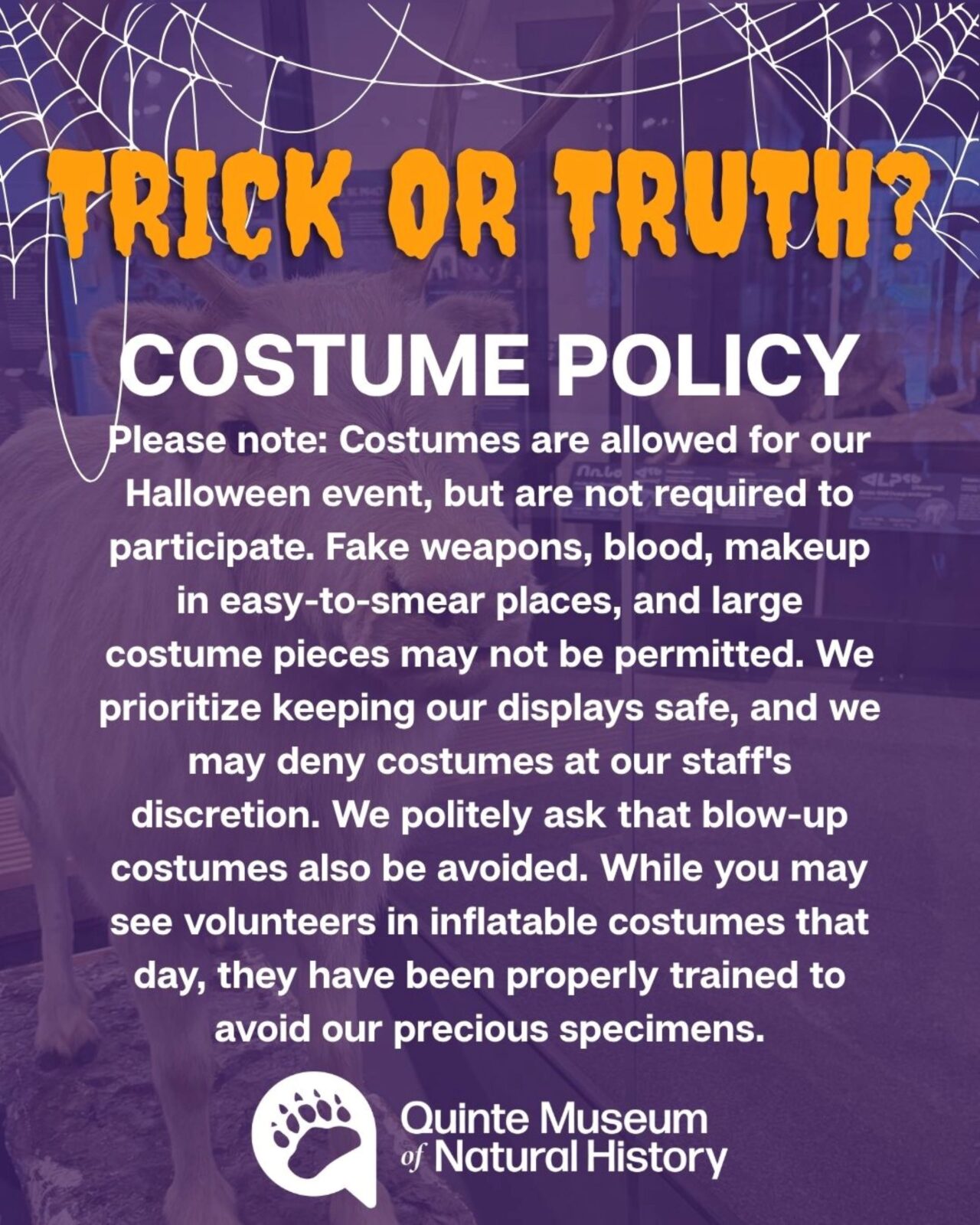 ToTPolicy