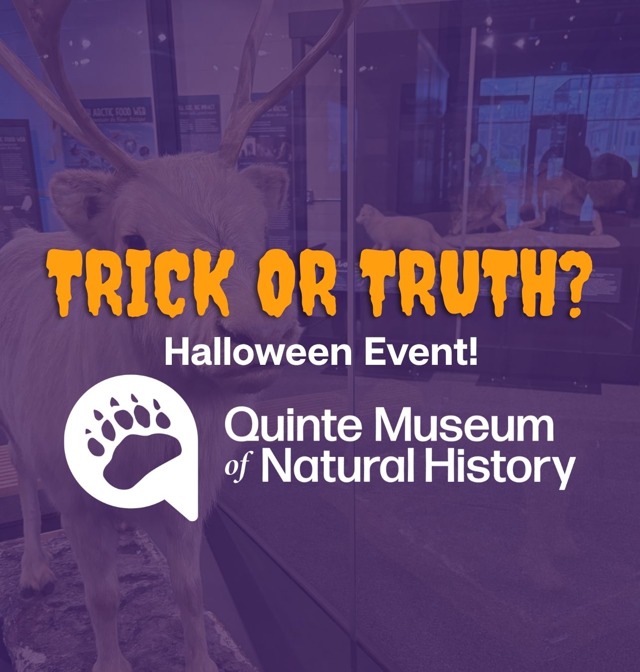Trick or Truth? Halloween Event @ QMNH